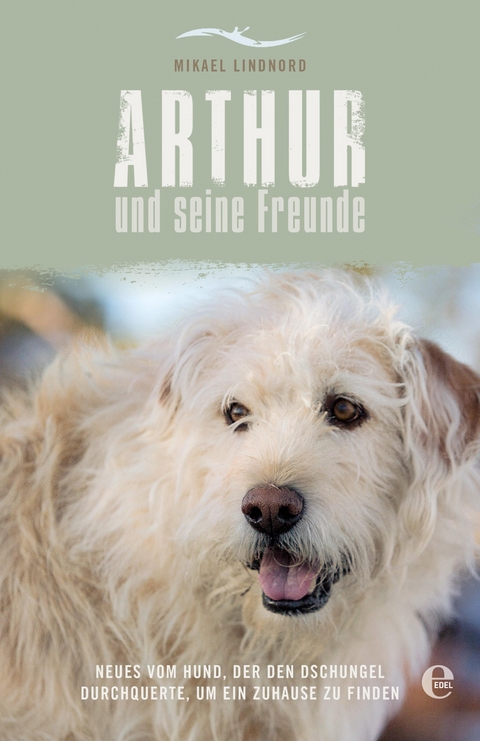 Arthur und seine Freunde - Mikael Lindnord