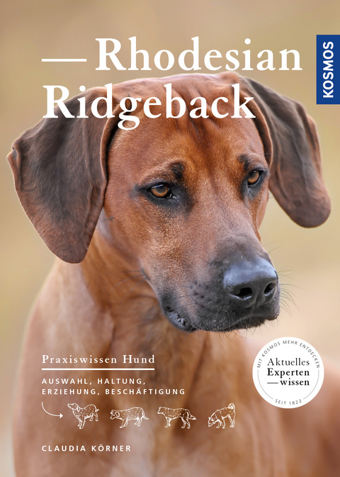 Rhodesian Ridgeback - Claudia Körner