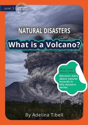 What is a Volcano? - Adelina Tibell