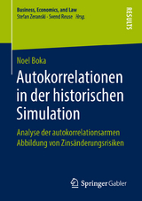 Autokorrelationen in der historischen Simulation - Noel Boka