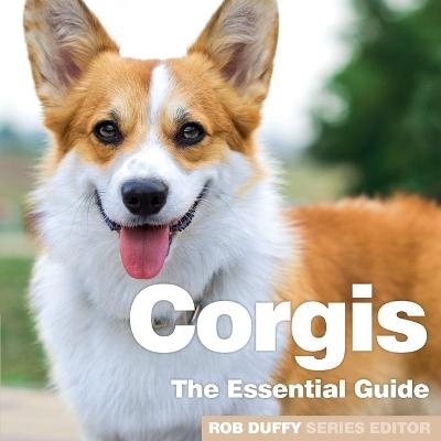 Corgis - 