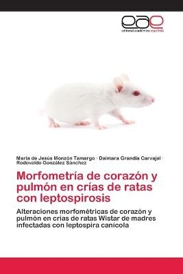 Morfometría de corazón y pulmón en crías de ratas con leptospirosis - María de Jesús Monzón Tamargo, Daimara Grandía Carvajal, Rodovaldo González Sánchez