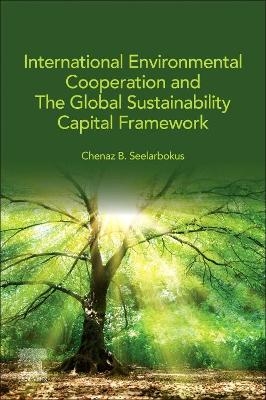 International Environmental Cooperation and The Global Sustainability Capital Framework - Chenaz B. Seelarbokus