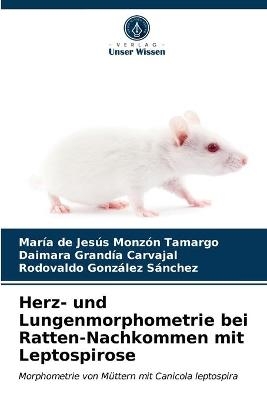 Herz- und Lungenmorphometrie bei Ratten-Nachkommen mit Leptospirose - María de Jesús Monzón Tamargo, Daimara Grandía Carvajal, Rodovaldo González Sánchez