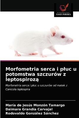 Morfometria serca i pluc u potomstwa szczurów z leptospirozą - María de Jesús Monzón Tamargo, Daimara Grandía Carvajal, Rodovaldo González Sánchez