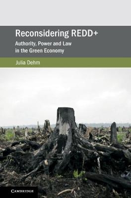 Reconsidering REDD+ - Julia Dehm