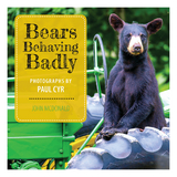 Bears Behaving Badly -  John McDonald