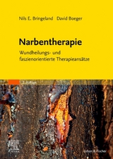 Narbentherapie - Bringeland, Nils E.; Boeger, David