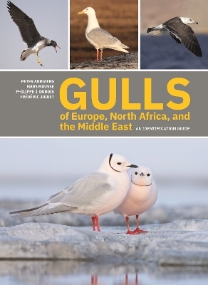 Gulls of Europe, North Africa, and the Middle East - Peter Adriaens, Mars Muusse, Philippe J. Dubois, Frédéric Jiguet