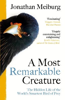 A Most Remarkable Creature - Jonathan Meiburg