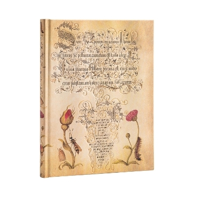 Flemish Rose (Mira Botanica) Ultra Lined Hardcover Journal -  Paperblanks