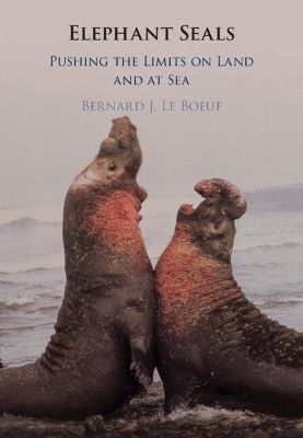 Elephant Seals - Bernard J. Le Boeuf