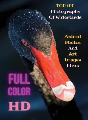 Top 100 Photographs of Waterbirds - Animal Photos and Art Images Ideas - Full Color HD -  Event Photos Around The World