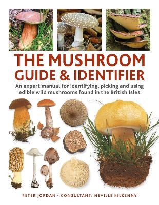 The Mushroom Guide & Identifer - Peter Jordan, Neville Kilkenny