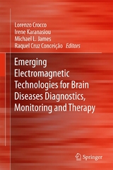 Emerging Electromagnetic Technologies for Brain Diseases Diagnostics, Monitoring and Therapy - 