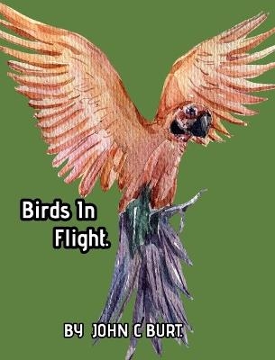 Birds In Flight. - John C Burt