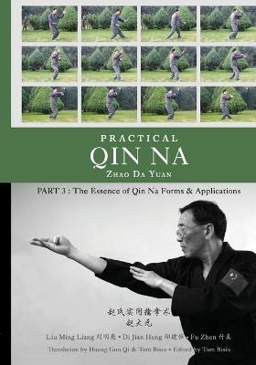 Practical Qin Na Part 3 - Tom Bisio