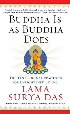 Buddha is as Buddha Does - Lama Surya Das