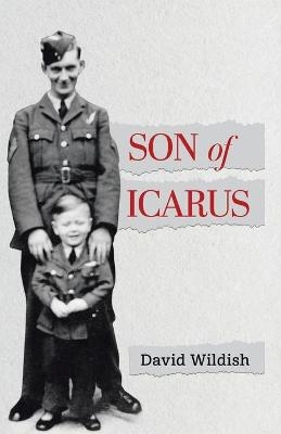 Son of Icarus - David Wildish