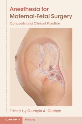 Anesthesia for Maternal-Fetal Surgery - 