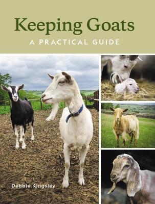 Keeping Goats - Debbie Kingsley