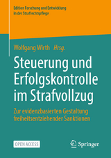 Steuerung und Erfolgskontrolle im Strafvollzug - 