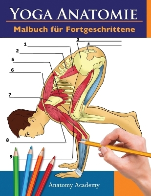 Yoga Anatomie Malbuch für Fortgeschrittene - Anatomy Academy