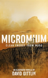 Micromium -  David B Gittlin