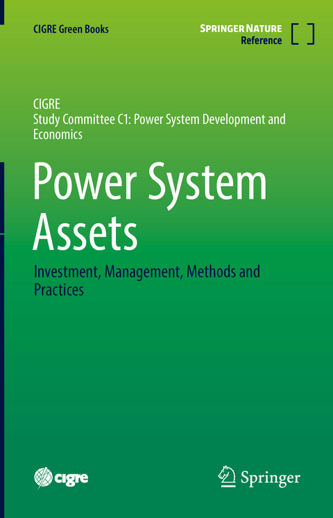 Power System Assets - 
