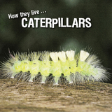 How they live... Caterpillars - Ivan Esenko, David Withrington